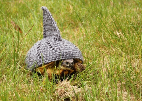 Crocheted Turtle Cozies - Shark