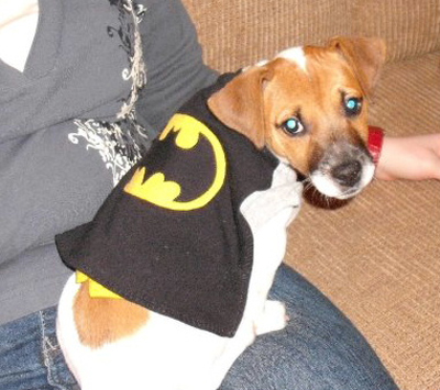 Batman Dog Cape