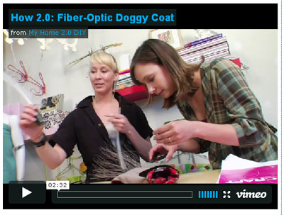 Fiber Optic Doggie Coat