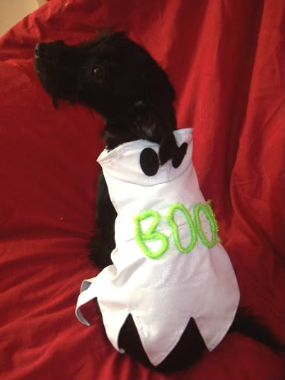 Puppy Ghost Costume