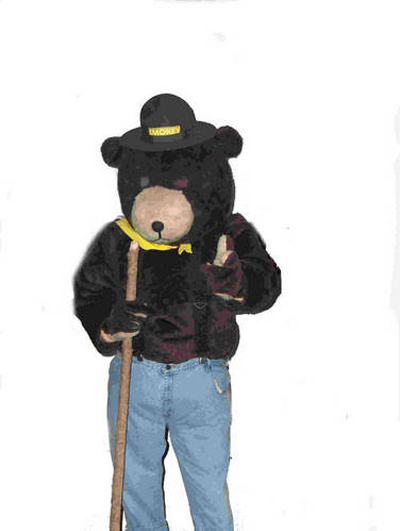 Smokey the Bear Costume
